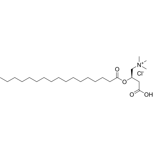 Heptadecanoyl-L-carnitine chloride 173686-69-6
